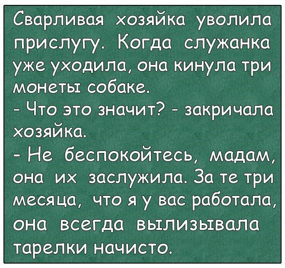 Анекдоты дня