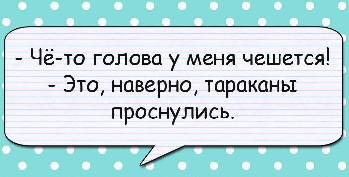Анекдоты дня