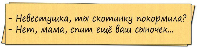 Анекдоты