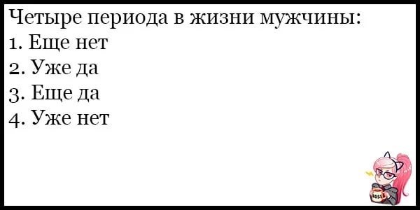 Анекдоты дня