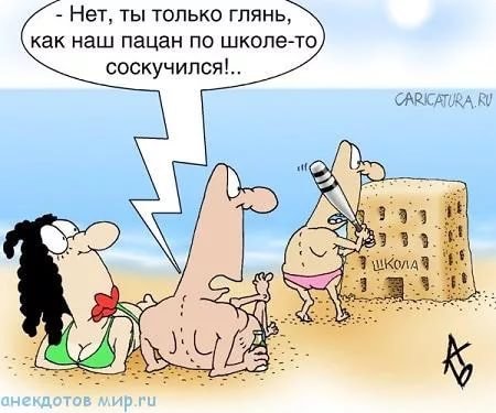 Анекдоты дня
