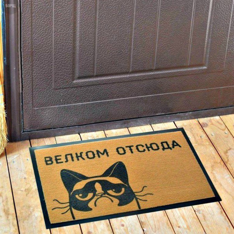 Анекдоты дня