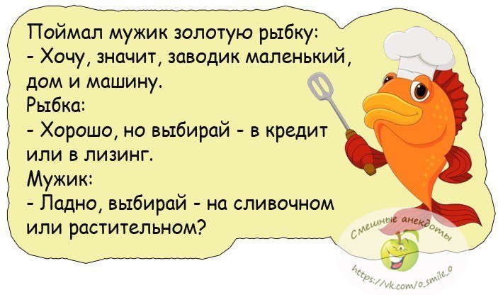 Анекдоты дня