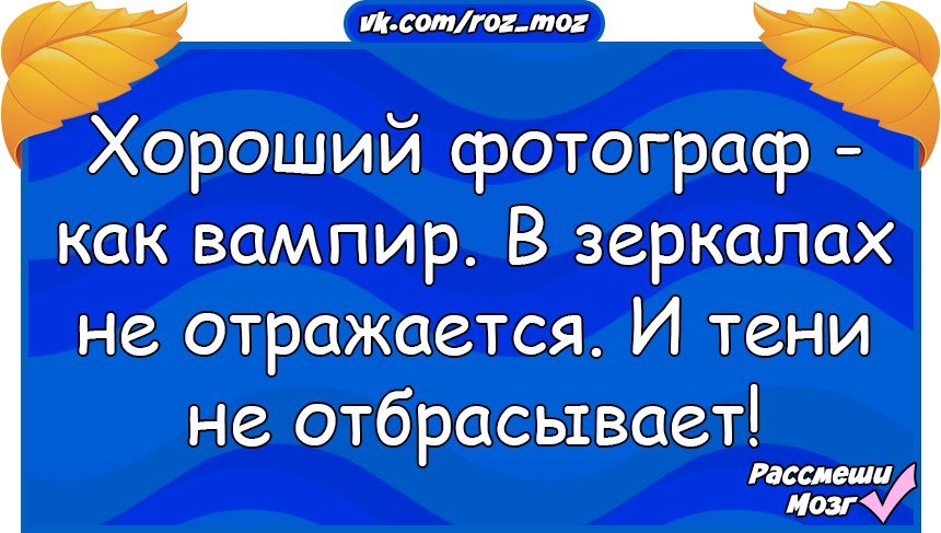 Анекдоты дня