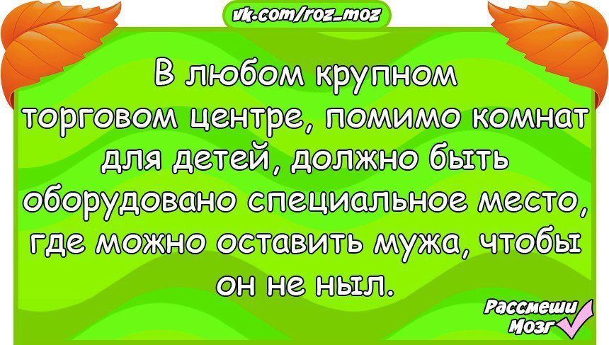 Анекдоты дня