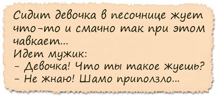 Анекдоты дня