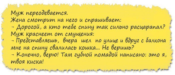 Анекдоты дня