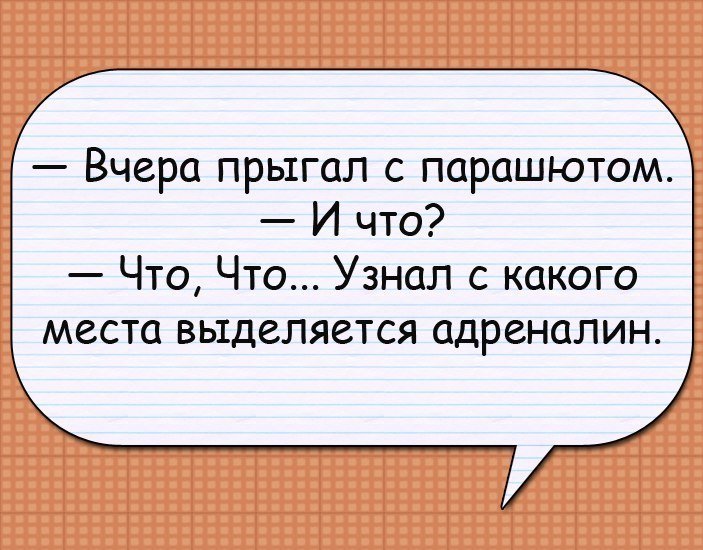 Анекдоты дня