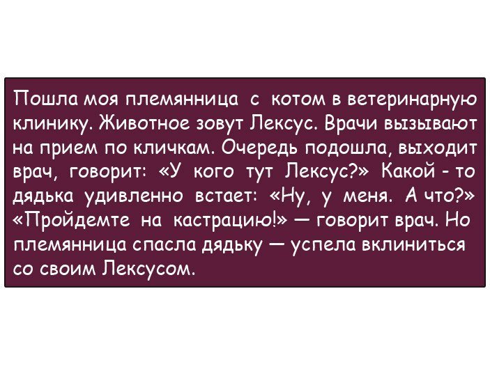 Анекдоты дня