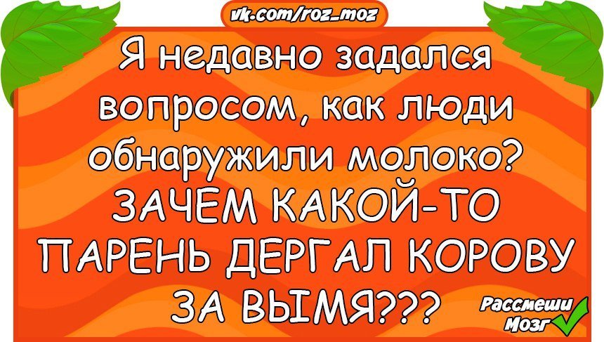 Анекдоты дня