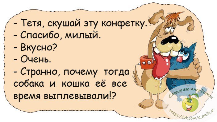 Анекдоты дня
