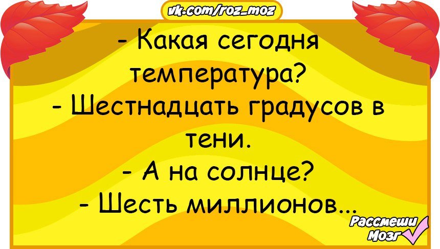 Анекдоты дня