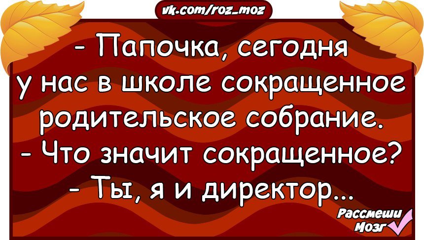 Анекдоты дня