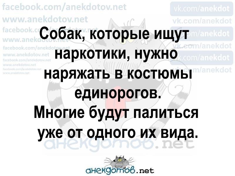 Хорошие анекдоты