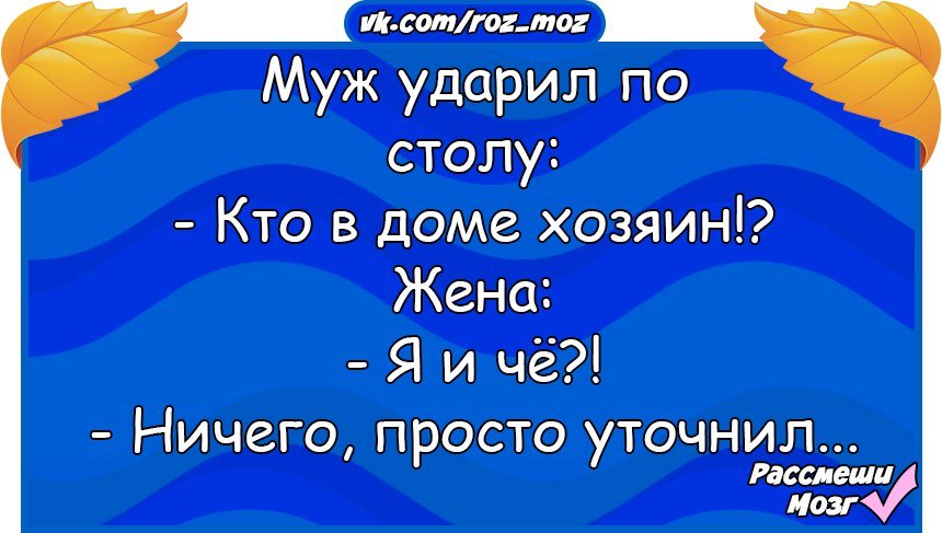 Анекдоты дня