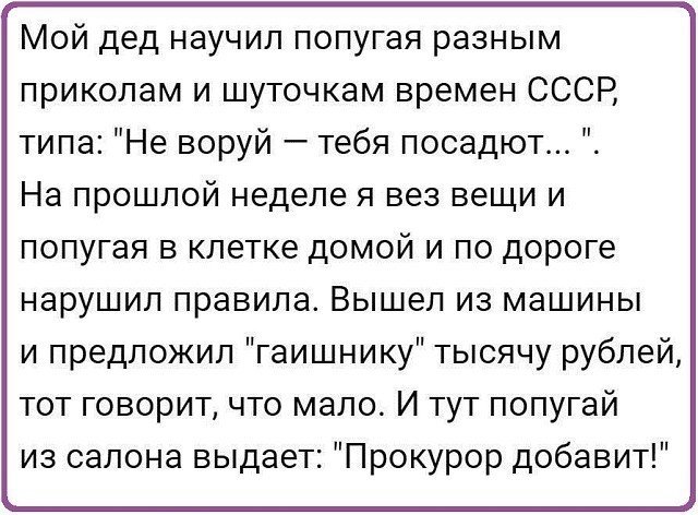 Анекдоты дня