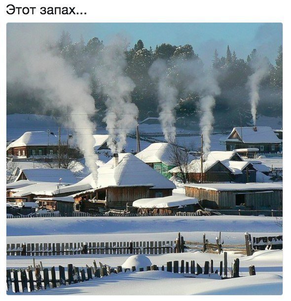 Анекдоты дня