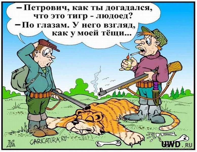 Смешные анекдоты