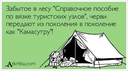 Анекдоты дня