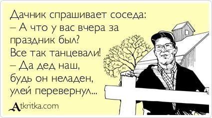 Анекдоты дня