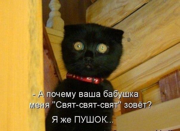 Анекдоты