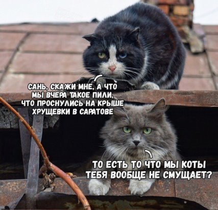 Анекдоты