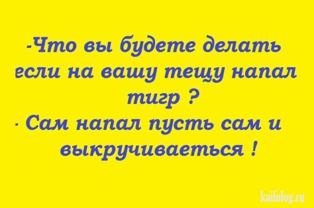Анекдоты дня