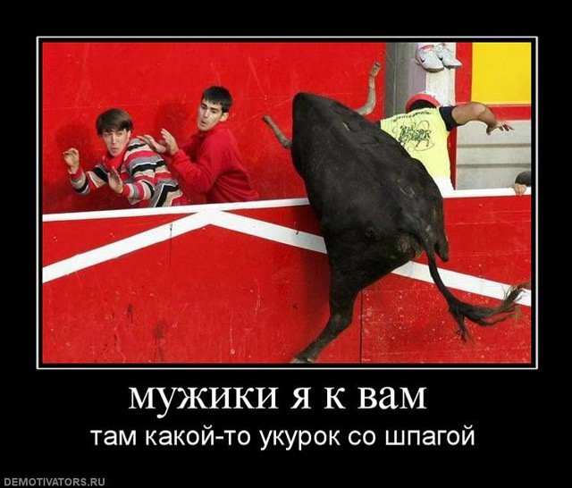 Анекдоты дня