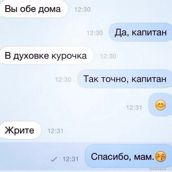 Анекдоты дня