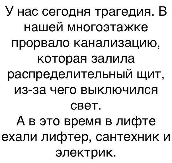 Анекдоты дня