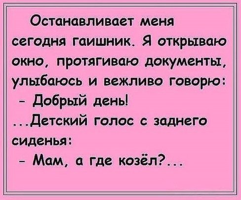Анекдоты дня