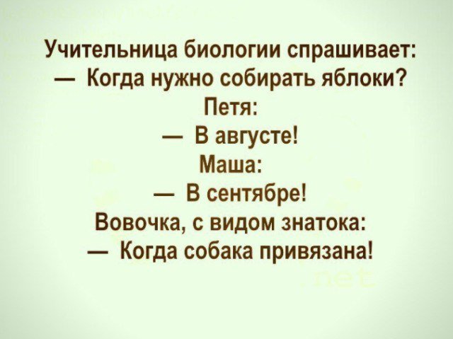 Отличные анекдоты