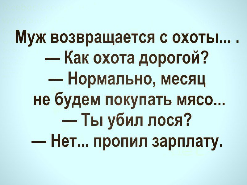 Анекдоты дня