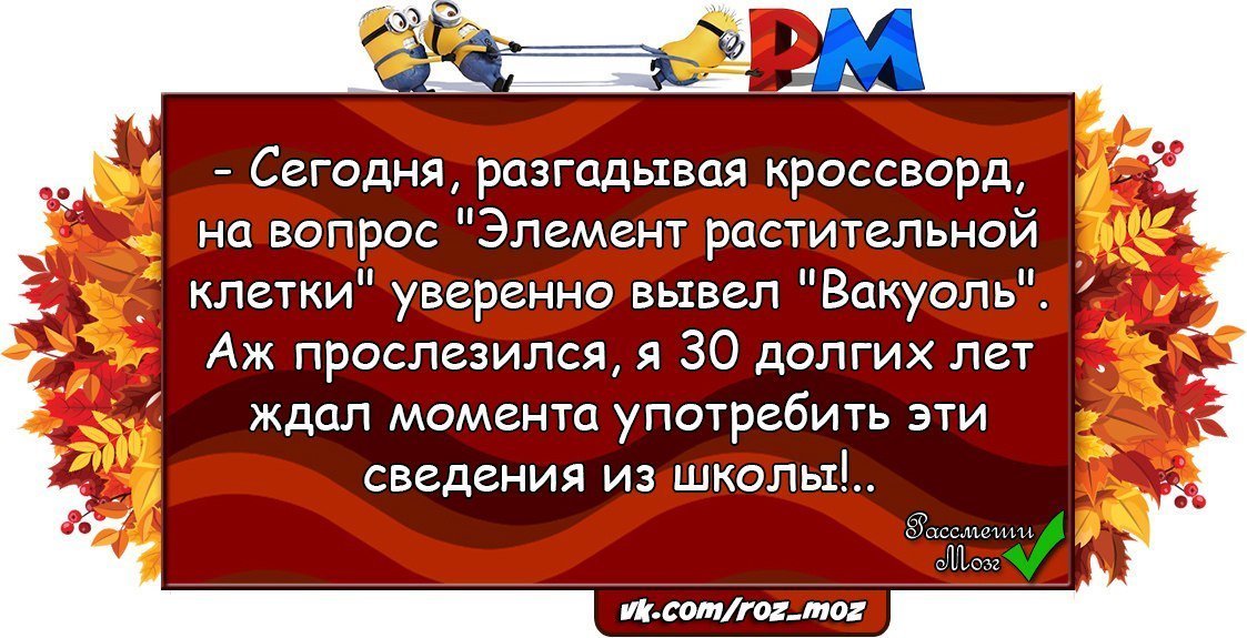 Отличные анекдоты