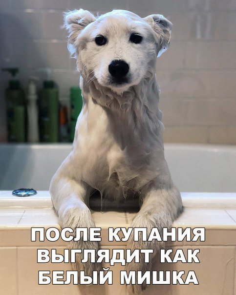 Смешной анекдот