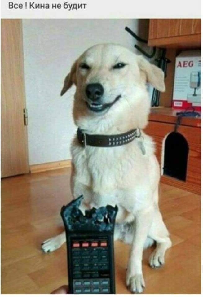 Анекдоты дня