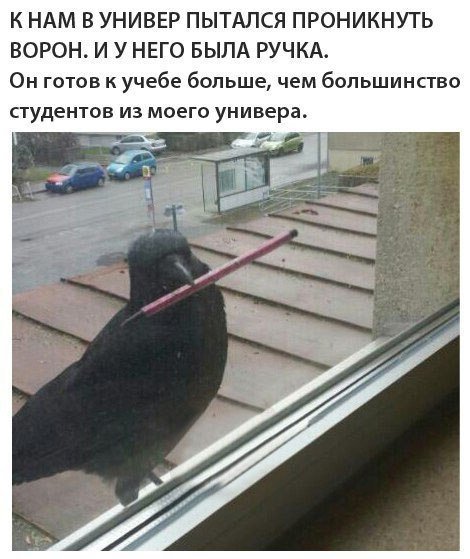 Отличные анекдоты