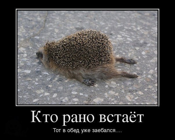 Лучшие анекдоты