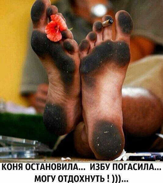 Анекдоты