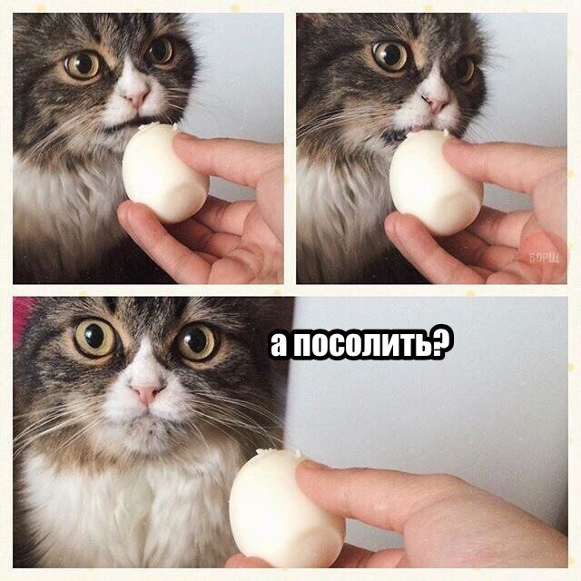 Хорошие анекдоты