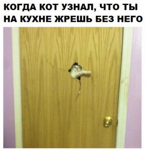 Убойный юмор