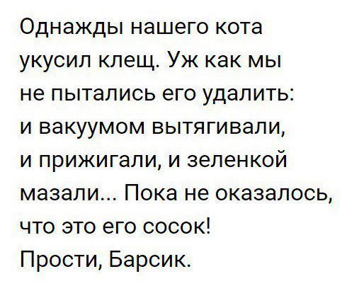 Анекдоты