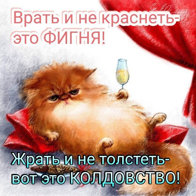 Хорошие анекдоты