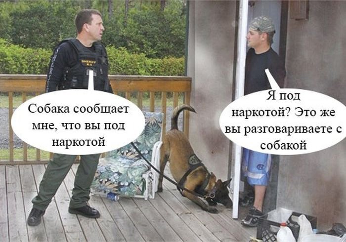 Хорошие анекдоты