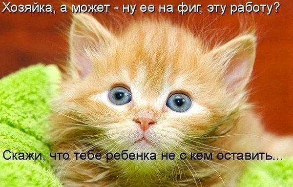 Очень смешно!