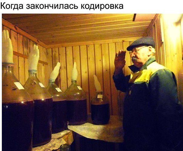 Анекдоты дня
