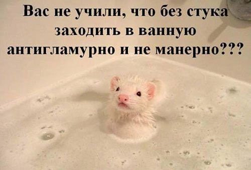 Хорошие анекдоты
