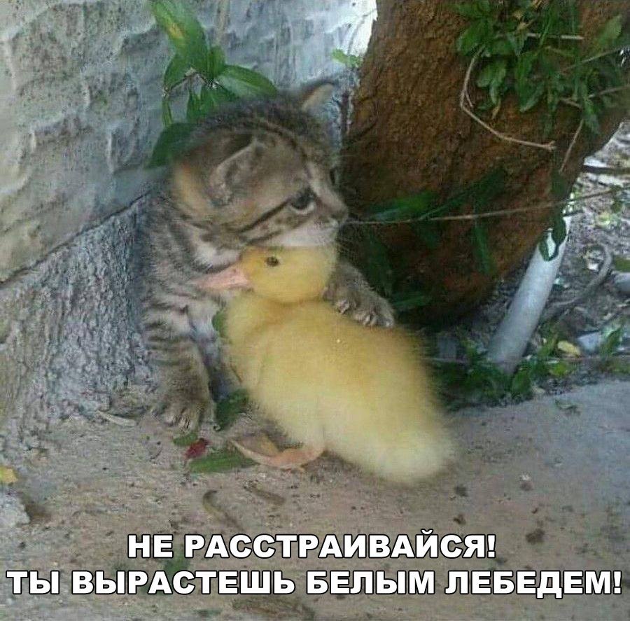 Лучшие анекдоты