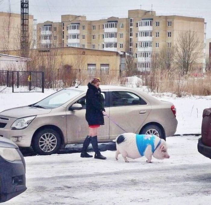 Убойный юмор