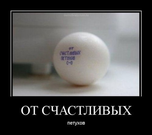 Анекдоты дня